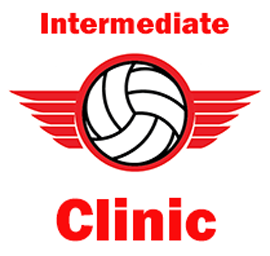 Beginner & Intermediate Volleyball Clinic 2023 (ages 8-14)